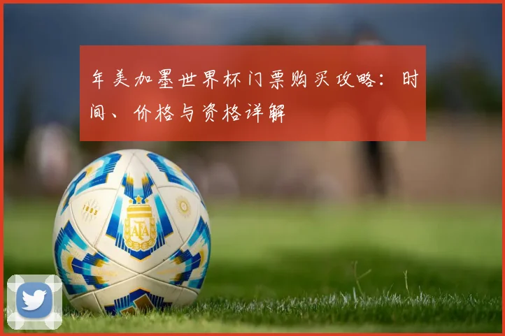 年美加墨世界杯门票购买攻略:时间、价格与资格详解